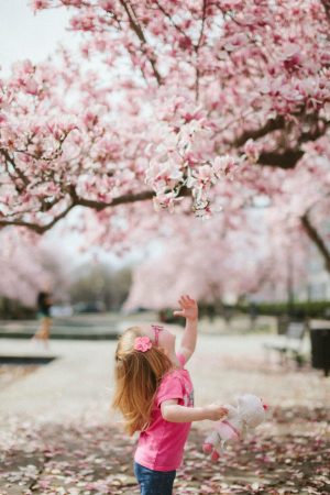 little girl looking up at tree blossoms