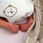 newborn baby fox and cubs nanny with new born experience