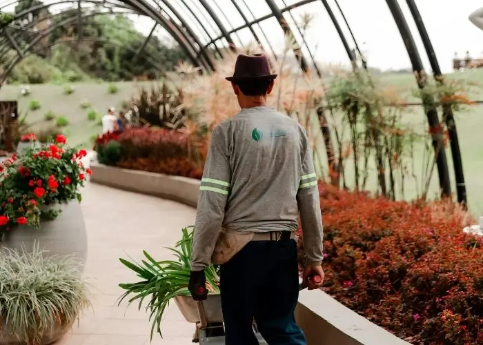 Gardener and groundskeeper private staff FOx and cubs nanny agency in London and international