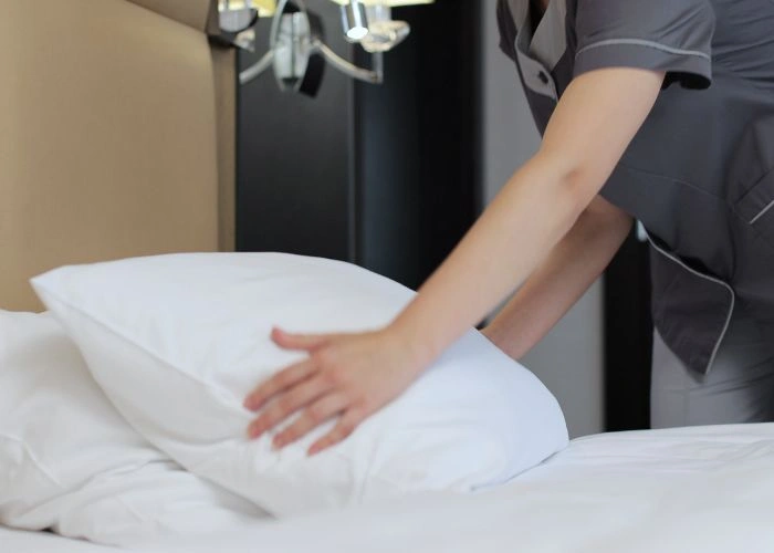 Services Housekeeper Fox and cubs nanny and private staff agency in London and International